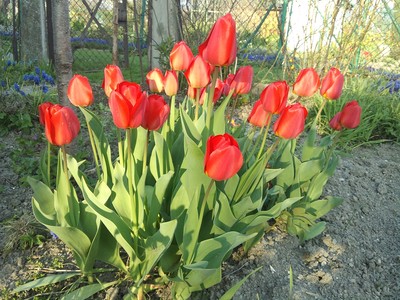 DSC00005.JPG