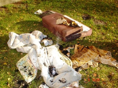 goniadz2011_31.jpg