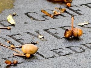 memento_mori.jpg