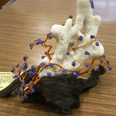 drze_03_02_12.jpg