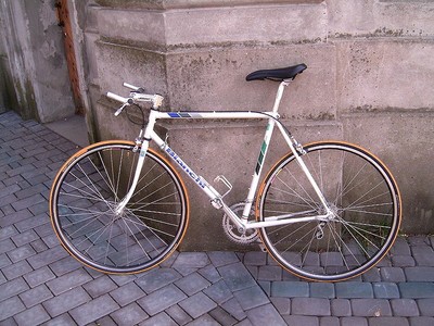 800px-Rower_bianchi_1.JPG