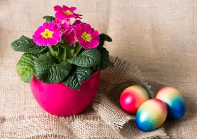 shutterstock_70592875.jpg